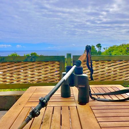 Flora E Fauna House Villa Biscoitos  ภายนอก รูปภาพ