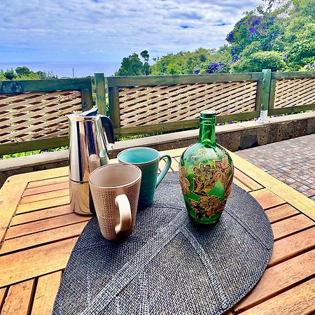 Flora E Fauna House Villa Biscoitos  ภายนอก รูปภาพ